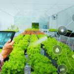 How Technology Is Transforming Agriculture