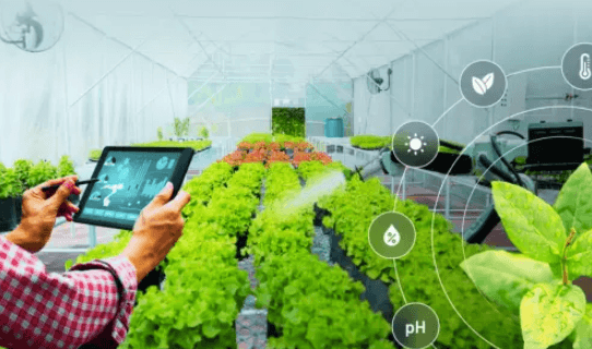 How Technology Is Transforming Agriculture